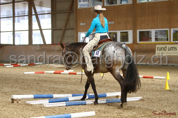 26-ApHC GT_146.jpg
